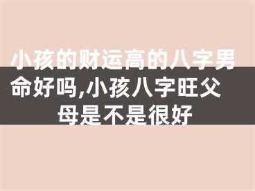 小孩的财运高的八字男命好吗,小孩八字旺父母是不是很好
