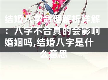 结婚八字命理解析详解：八字不合真的会影响婚姻吗,结婚八字是什么意思