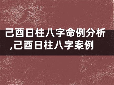 己酉日柱八字命例分析,己酉日柱八字案例