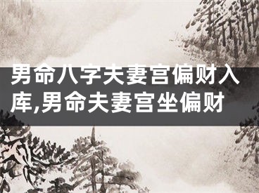 男命八字夫妻宫偏财入库,男命夫妻宫坐偏财