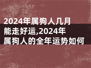 2024年属狗人几月能走好运,2024年属狗人的全年运势如何