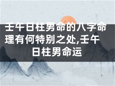 壬午日柱男命的八字命理有何特别之处,壬午日柱男命运