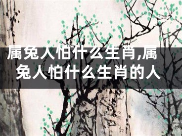 属兔人怕什么生肖,属兔人怕什么生肖的人