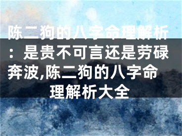 陈二狗的八字命理解析：是贵不可言还是劳碌奔波,陈二狗的八字命理解析大全