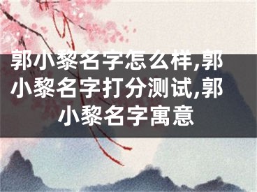 郭小黎名字怎么样,郭小黎名字打分测试,郭小黎名字寓意