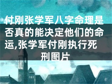 付刚张学军八字命理是否真的能决定他们的命运,张学军付刚执行死刑图片