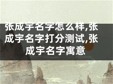 张成宇名字怎么样,张成宇名字打分测试,张成宇名字寓意