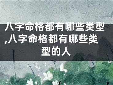 八字命格都有哪些类型,八字命格都有哪些类型的人