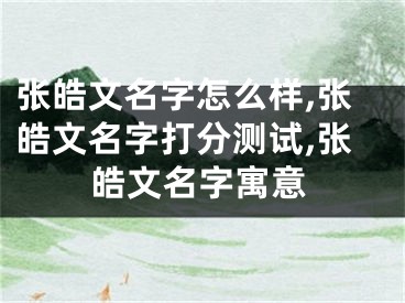 张皓文名字怎么样,张皓文名字打分测试,张皓文名字寓意