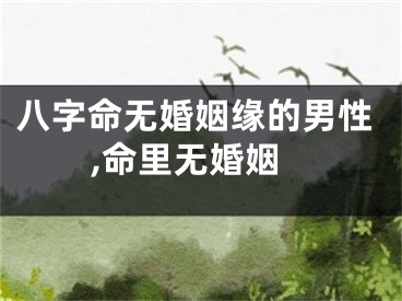 八字命无婚姻缘的男性,命里无婚姻