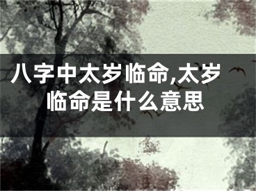 八字中太岁临命,太岁临命是什么意思