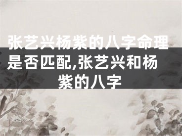 张艺兴杨紫的八字命理是否匹配,张艺兴和杨紫的八字