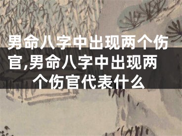 男命八字中出现两个伤官,男命八字中出现两个伤官代表什么