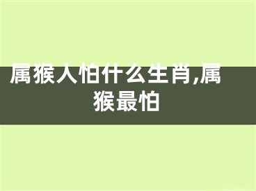 属猴人怕什么生肖,属猴最怕