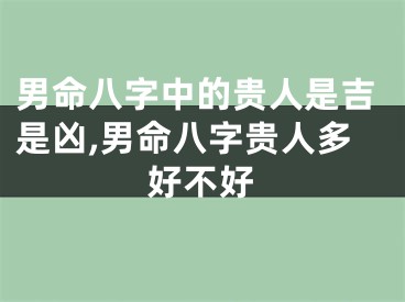 男命八字中的贵人是吉是凶,男命八字贵人多好不好