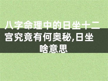 八字命理中的日坐十二宫究竟有何奥秘,日坐啥意思