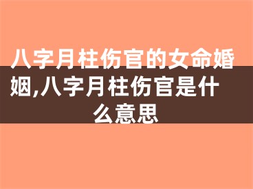 八字月柱伤官的女命婚姻,八字月柱伤官是什么意思