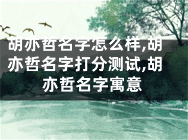 胡亦哲名字怎么样,胡亦哲名字打分测试,胡亦哲名字寓意