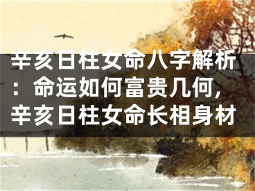 辛亥日柱女命八字解析：命运如何富贵几何,辛亥日柱女命长相身材