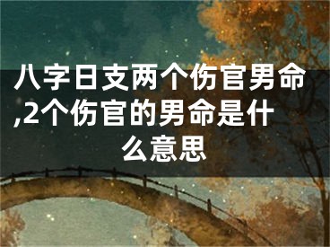 八字日支两个伤官男命,2个伤官的男命是什么意思