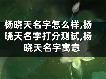 杨晓天名字怎么样,杨晓天名字打分测试,杨晓天名字寓意