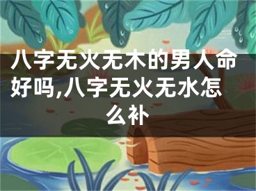八字无火无木的男人命好吗,八字无火无水怎么补