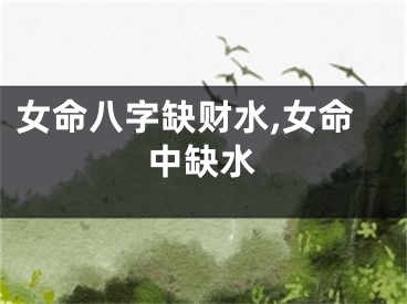 女命八字缺财水,女命中缺水