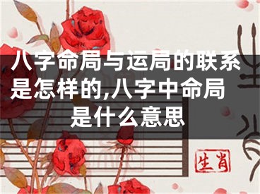 八字命局与运局的联系是怎样的,八字中命局是什么意思