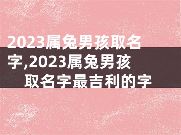 2023属兔男孩取名字,2023属兔男孩取名字最吉利的字