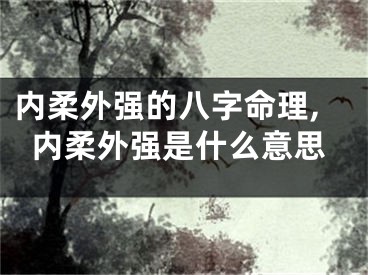 内柔外强的八字命理,内柔外强是什么意思