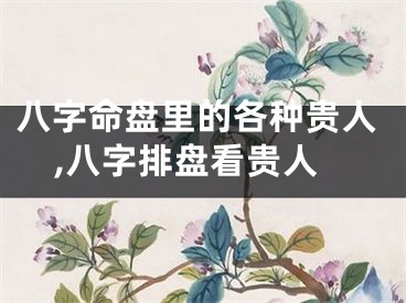 八字命盘里的各种贵人,八字排盘看贵人
