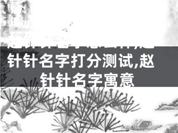 赵针针名字怎么样,赵针针名字打分测试,赵针针名字寓意