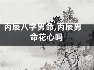 丙辰八字男命,丙辰男命花心吗