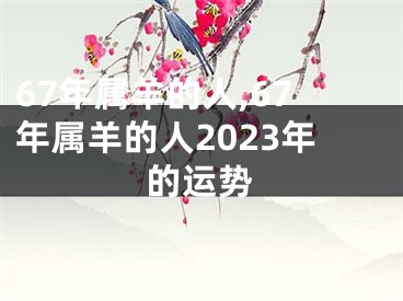 67年属羊的人,67年属羊的人2023年的运势