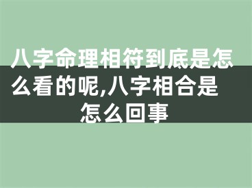 八字命理相符到底是怎么看的呢,八字相合是怎么回事