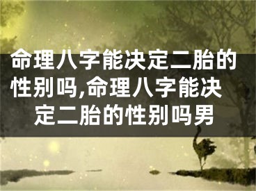 命理八字能决定二胎的性别吗,命理八字能决定二胎的性别吗男
