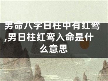 男命八字日柱中有红鸾,男日柱红鸾入命是什么意思