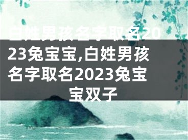 白姓男孩名字取名2023兔宝宝,白姓男孩名字取名2023兔宝宝双子