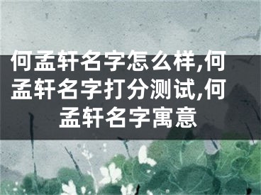 何孟轩名字怎么样,何孟轩名字打分测试,何孟轩名字寓意