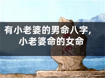 有小老婆的男命八字,小老婆命的女命