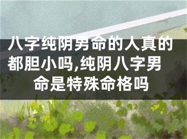 八字纯阴男命的人真的都胆小吗,纯阴八字男命是特殊命格吗