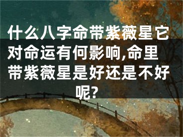 什么八字命带紫薇星它对命运有何影响,命里带紫薇星是好还是不好呢?