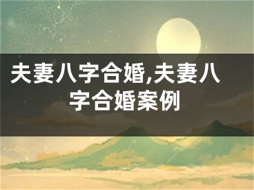 夫妻八字合婚,夫妻八字合婚案例