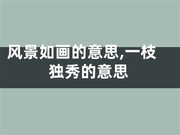 风景如画的意思,一枝独秀的意思