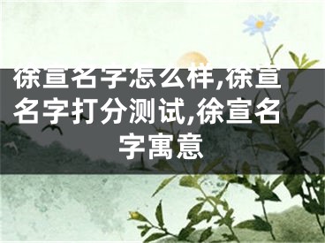 徐宣名字怎么样,徐宣名字打分测试,徐宣名字寓意