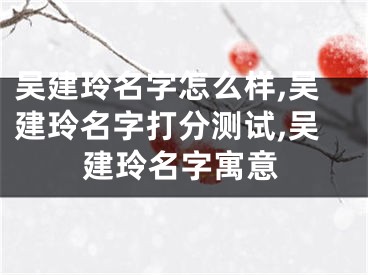 吴建玲名字怎么样,吴建玲名字打分测试,吴建玲名字寓意
