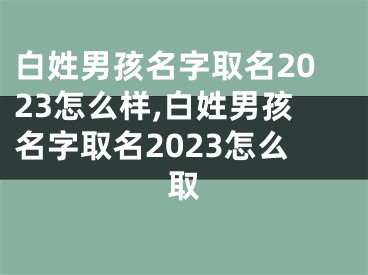 白姓男孩名字取名2023怎么样,白姓男孩名字取名2023怎么取