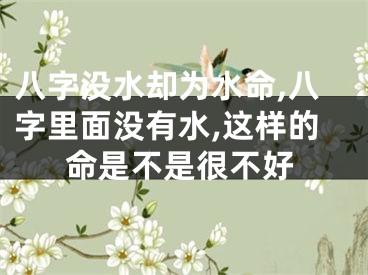 八字没水却为水命,八字里面没有水,这样的命是不是很不好