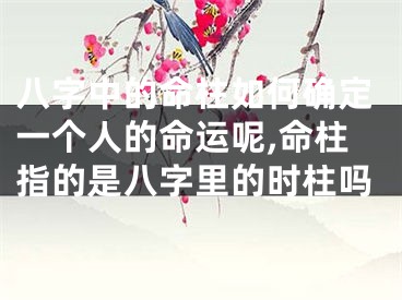 八字中的命柱如何确定一个人的命运呢,命柱指的是八字里的时柱吗