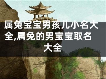 属兔宝宝男孩儿小名大全,属兔的男宝宝取名大全